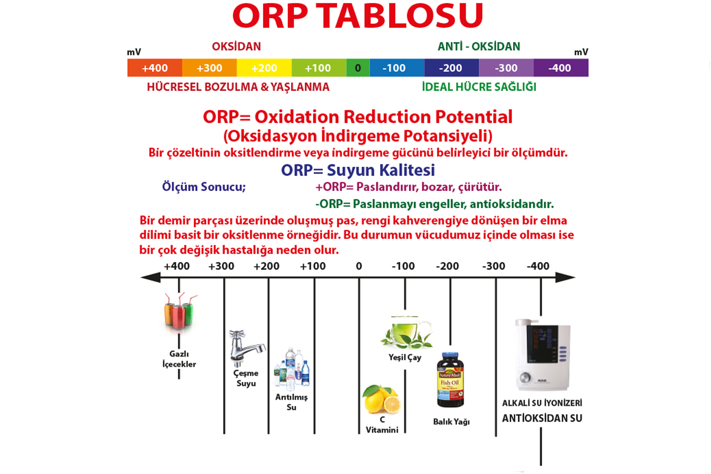 orp tablosu