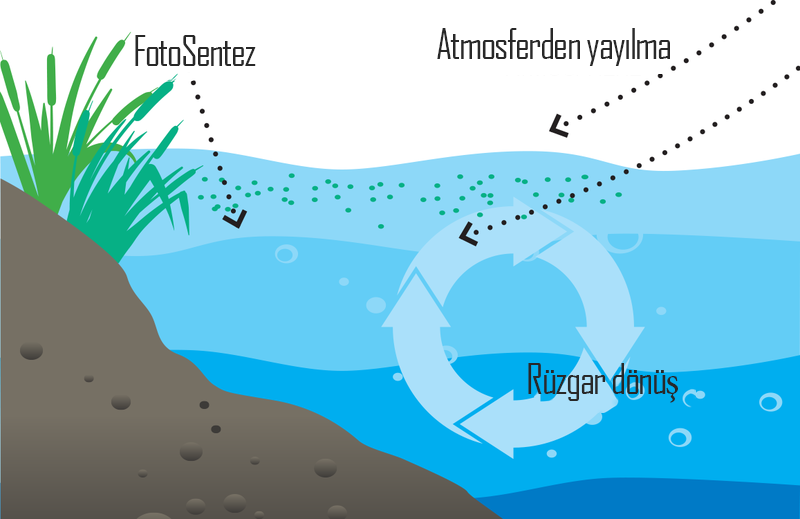 Çözünmüş Oksijen