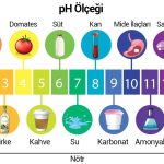 Su Kalitesi: Su Testinde pH Nedir? 6.5 - 8.5 pH