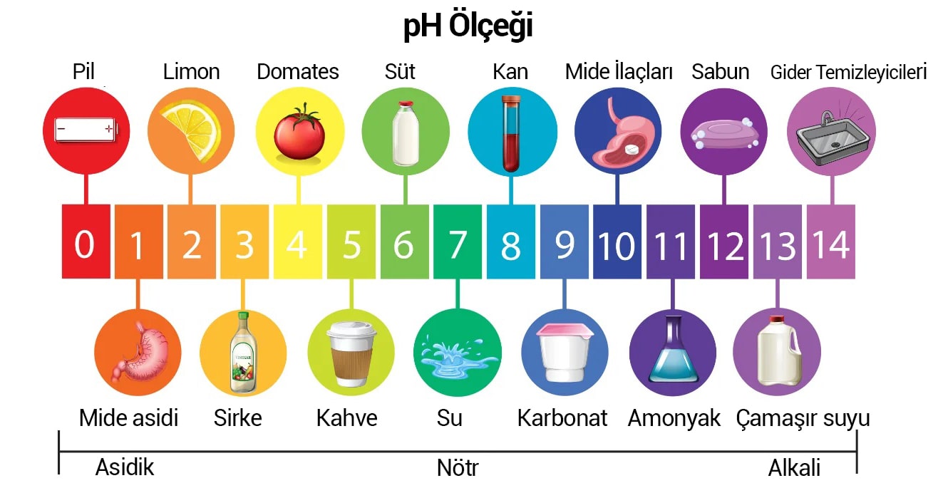 Su Kalitesi: Su Testinde pH Nedir?