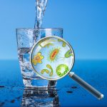 Su Kirliliği ve Neden Olduğu Hastalıkları