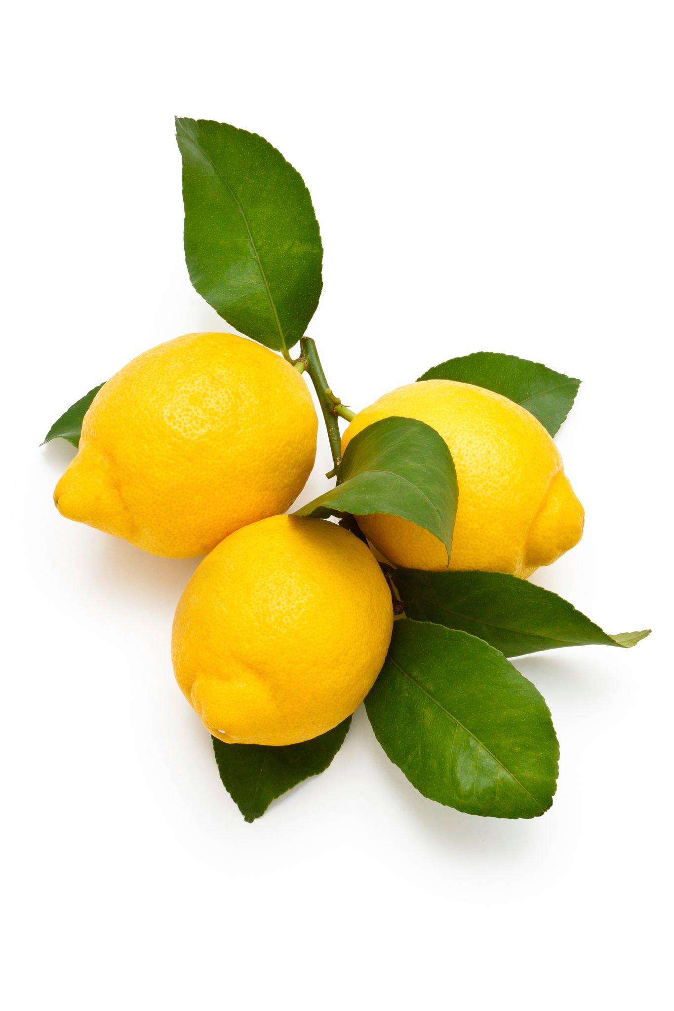 limon