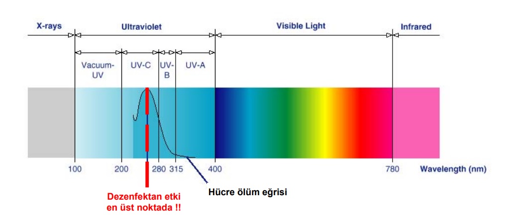 UV Işınları Dezenfektan Etkisi - Ultraviyole Filtre