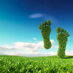 Kaç çeşit ayak izi vardır?