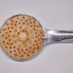 Kireçli Su: Gerçekler, Yanılgılar ve Sağlığımız Üzerine Etkileri