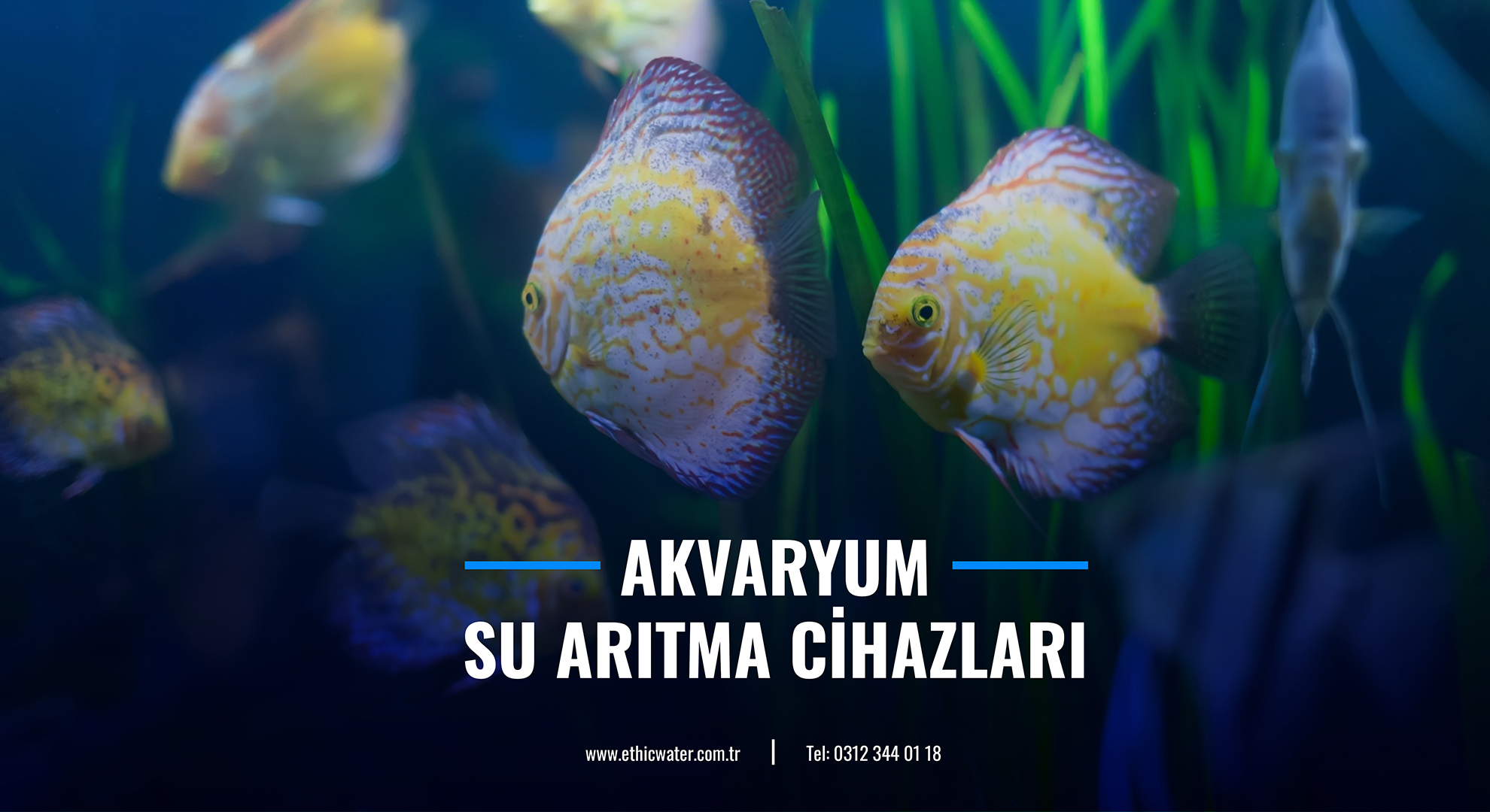 Akvaryum Su Arıtma Cihazları