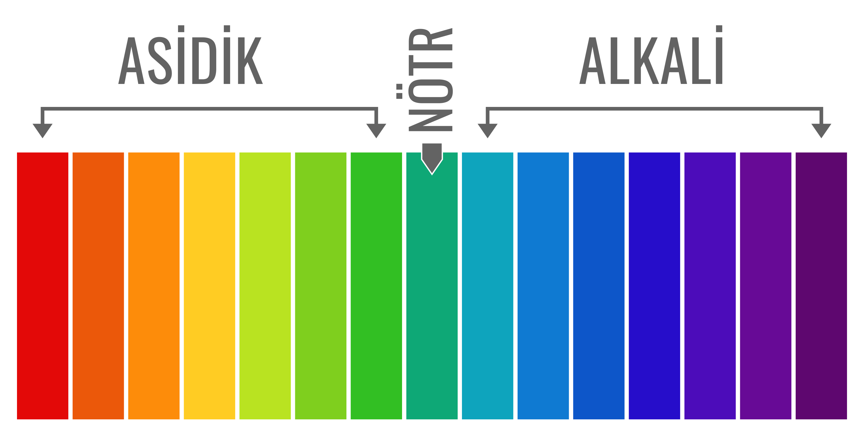 pH Scala Renkleri