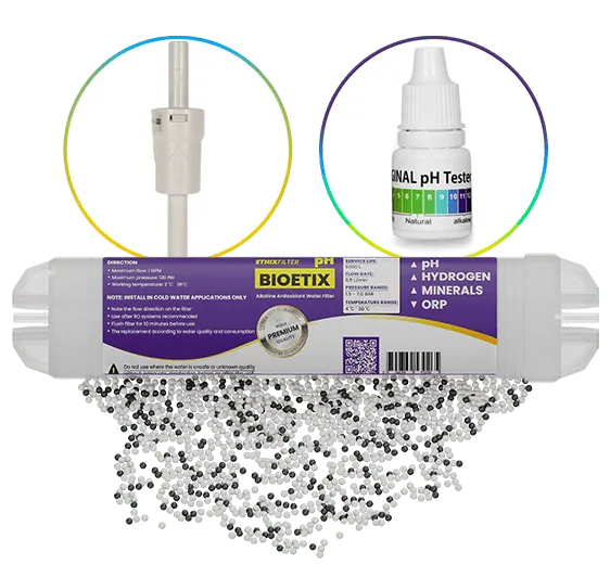 Bioetix Alkali Filtre yanında, pH test sıvısı ve filtreyi yüksek basınçlardan koruyan basınç tahliye vanası hediye.