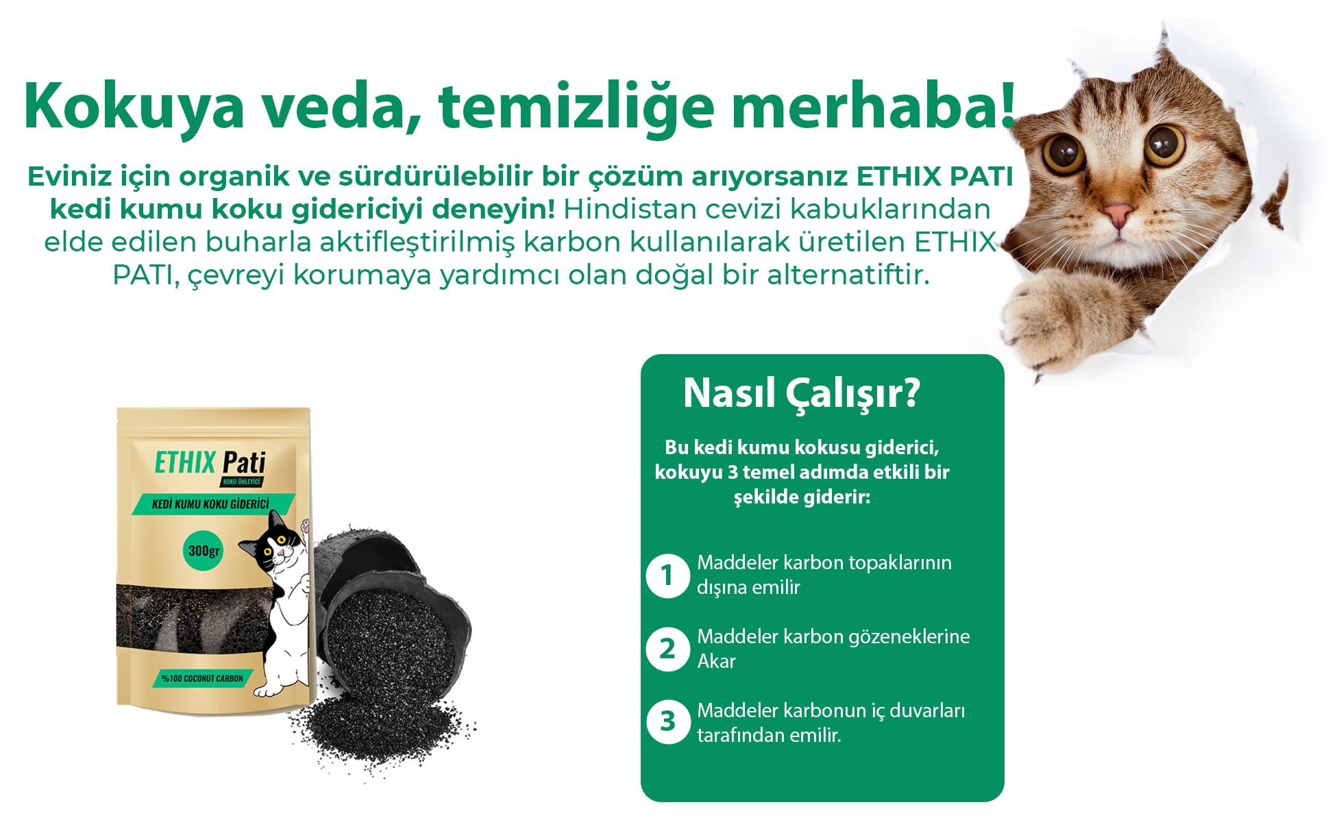 ETHIX Pati Kedi Kumu Koku Giderici