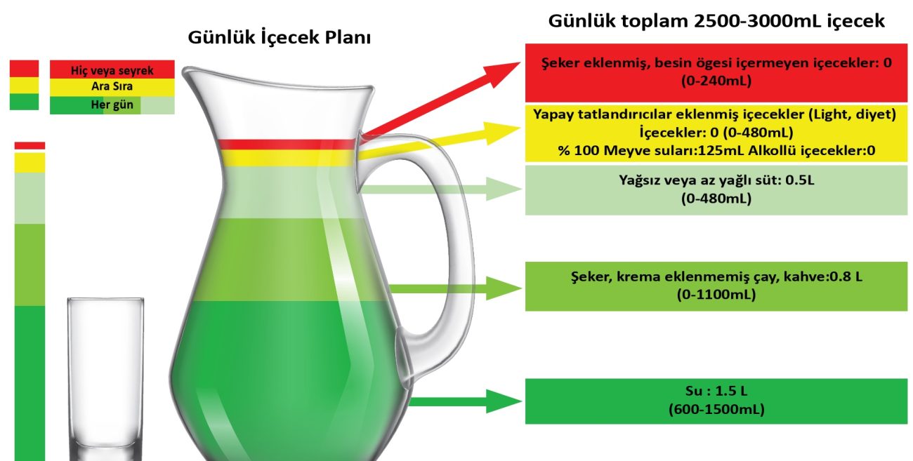 Günlük içecek planı