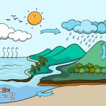 Su Döngüsü Nedir: Dünyanın Su Dengesini Anlamak