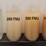 Su Bulanıklığı Nasıl Giderilir