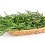 Biberiye – Çok Yönlü Bir Otun Rehberi