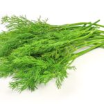 Dereotu: Sadece Turşular İçin Değil