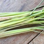 Limon Otu: Dünyanın En Lezzetli ve Faydalı Otu