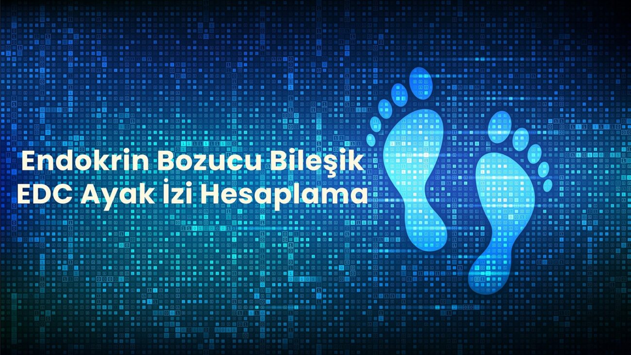 Endokrin Bozucu Bileşik EDC Ayak İzi Hesaplama