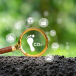 Karbon Ayak İzi Hesaplama Aracı