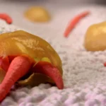 Su Arıtma Sistemleri Hâlâ Bu İnatçı Paraziti Yenemedi: Cryptosporidium Tehlikesi