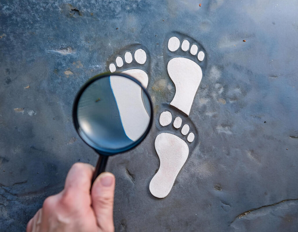 Su Ayak İzi Hesaplama Aracı