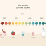 Mide Asidi pH Değeri: Gücü, Etkileri ve Sağlığınız Üzerindeki Rolü