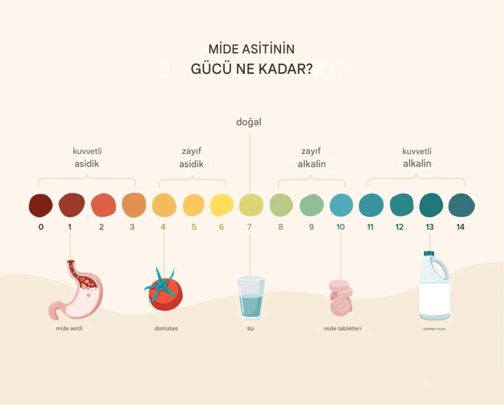 Mide Asidi pH Değeri: Gücü, Etkileri ve Sağlığınız Üzerindeki Rolü