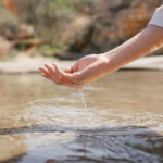 Doğada Temiz Su Nasıl Bulunur: 9 İpucu ve Püf Noktası