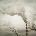 Yaygın Karsinojenler: Bilmeniz Gerekenler