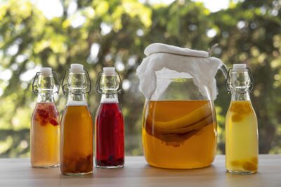 Kombucha Probiyotikler: Sağlıklı Bağırsaklar için En İyi Besin Kaynakları