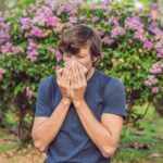 Alerjik Rinit ve Saman Nezlesi: Nedir, Belirtileri ve Tedavi Yöntemleri