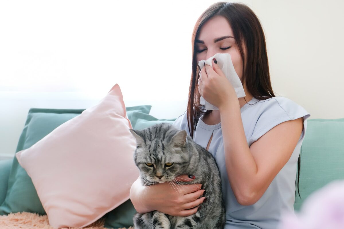 Kedi Alerjisi Nedir?