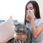 Kedi Alerjisi Nedir?