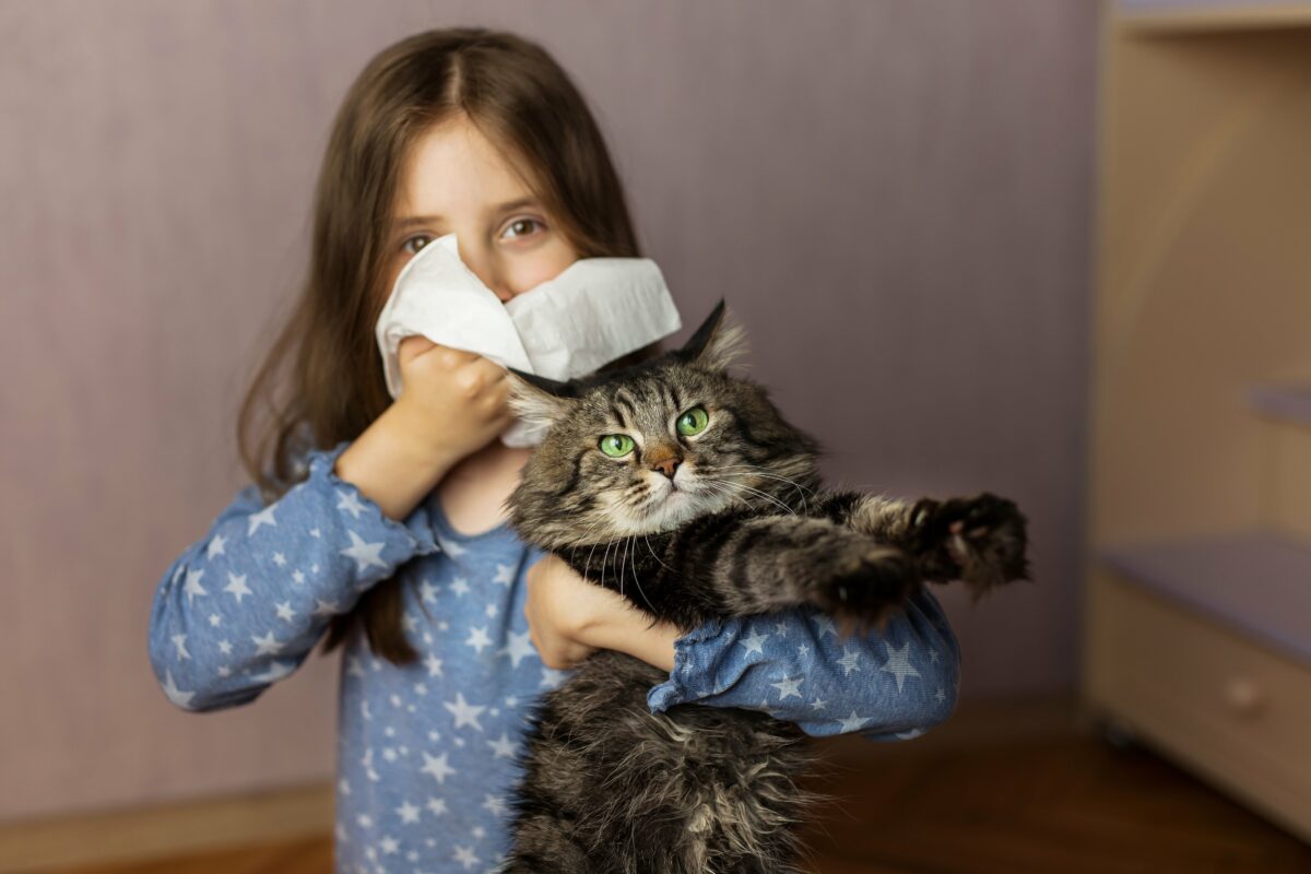 Kedi Alerjisi Nedir?
