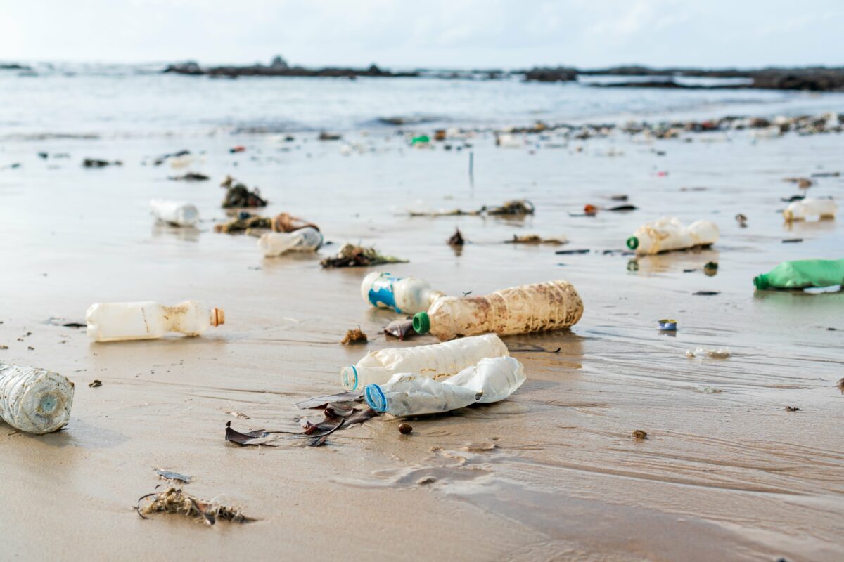 Plastik Şişelerin Zararları