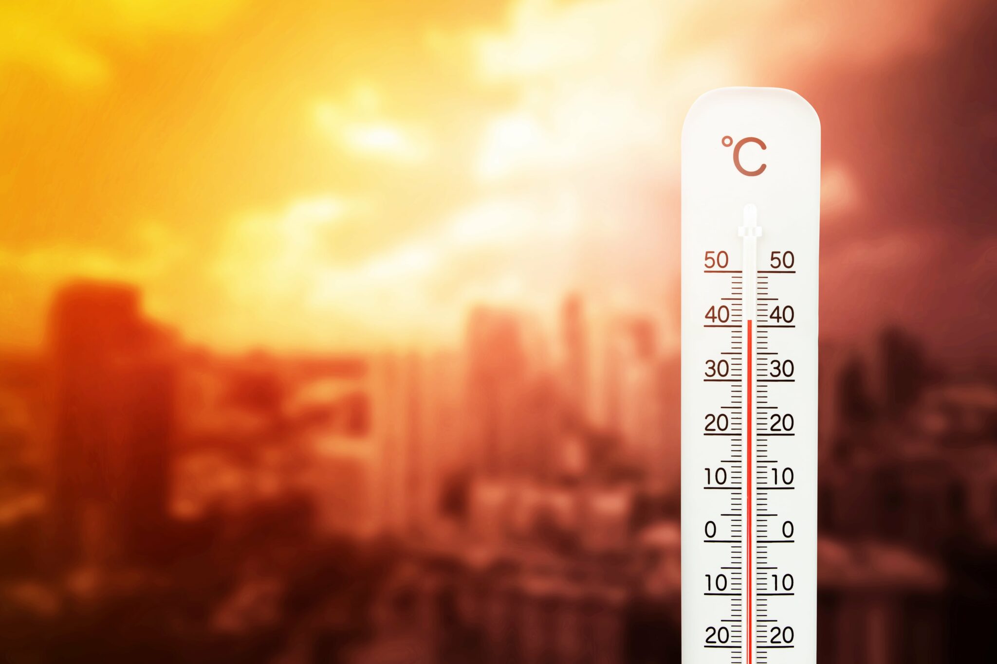 Sıcak Hava Dalgası ve Aşırı Sıcaklar: Sağlığınızı Korumak İçin Kapsamlı Rehber