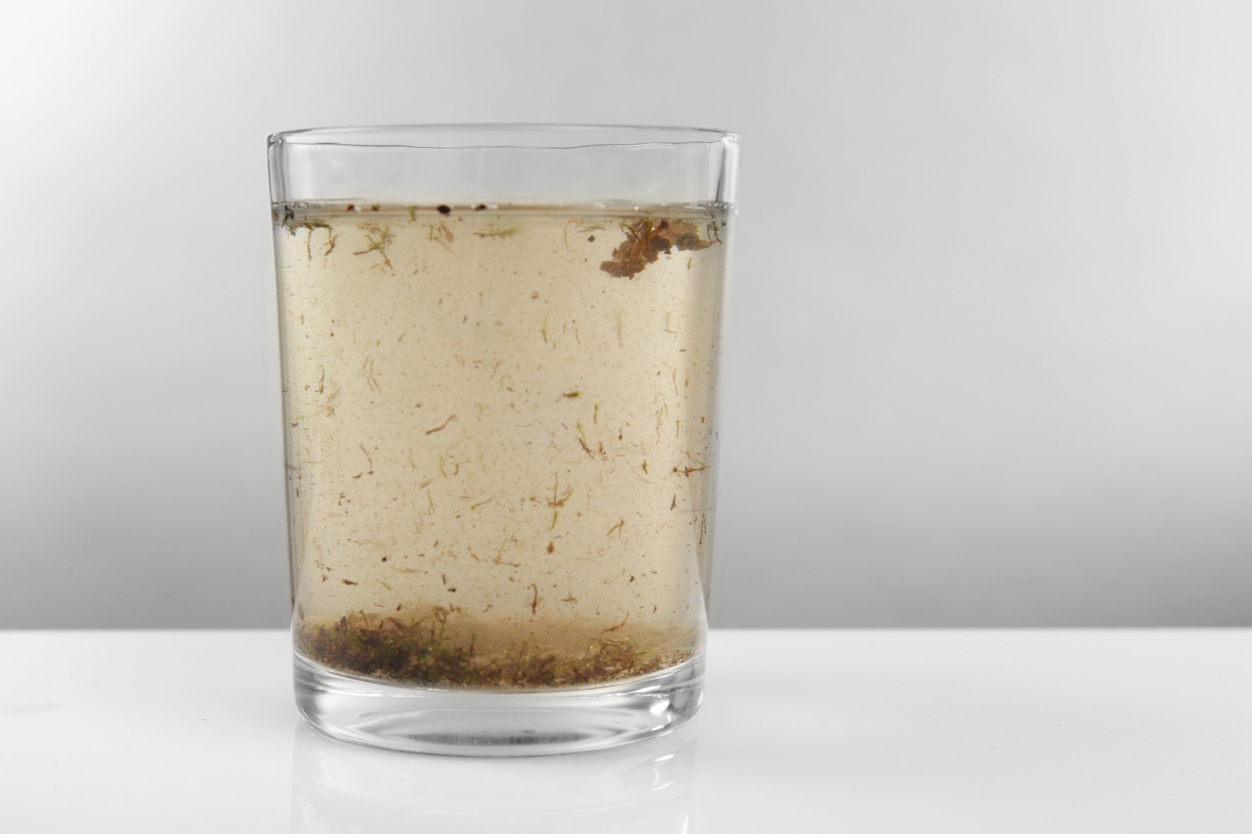 Biofilm