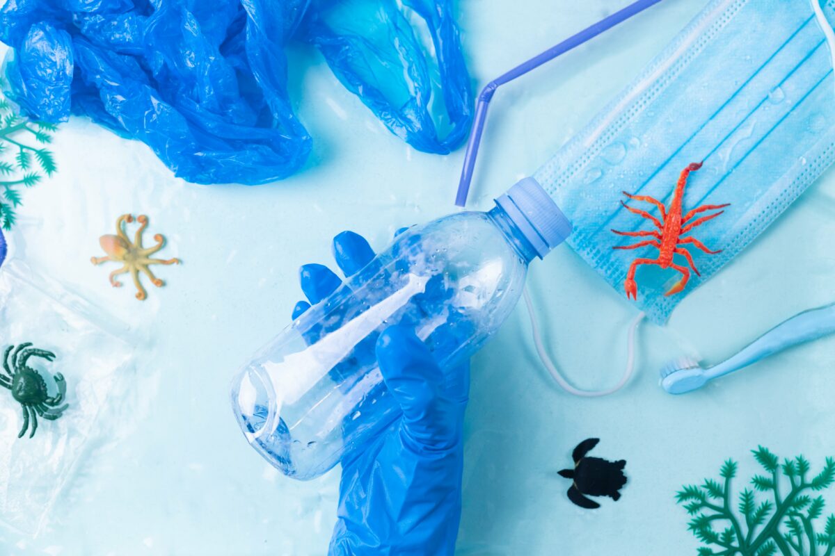BPA (Bisfenol A) Nedir: Plastiklerdeki Gizli Tehlike ve Korunma Yolları