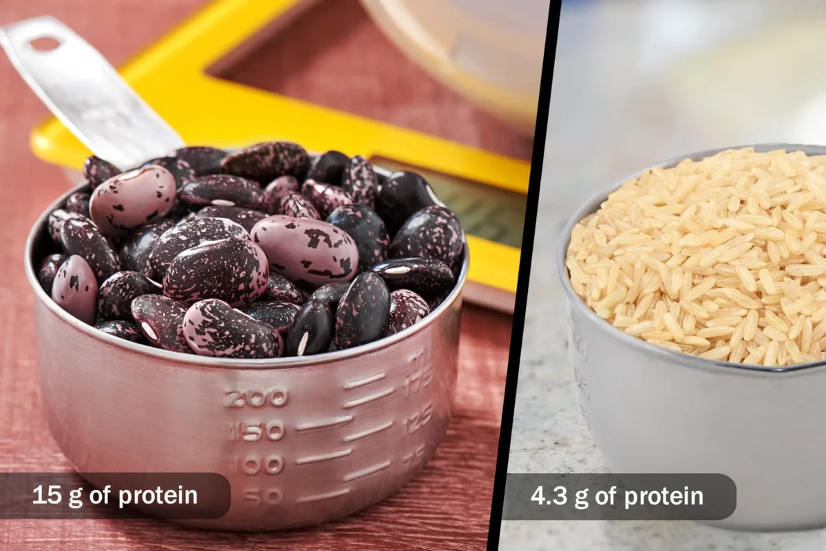 Protein Deposu Olarak Fasulye