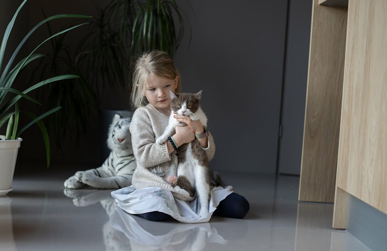 Kedi ve Bebek Tanışması: Evdeki Yeni Dengeyi Güvenle Kurma Rehberi