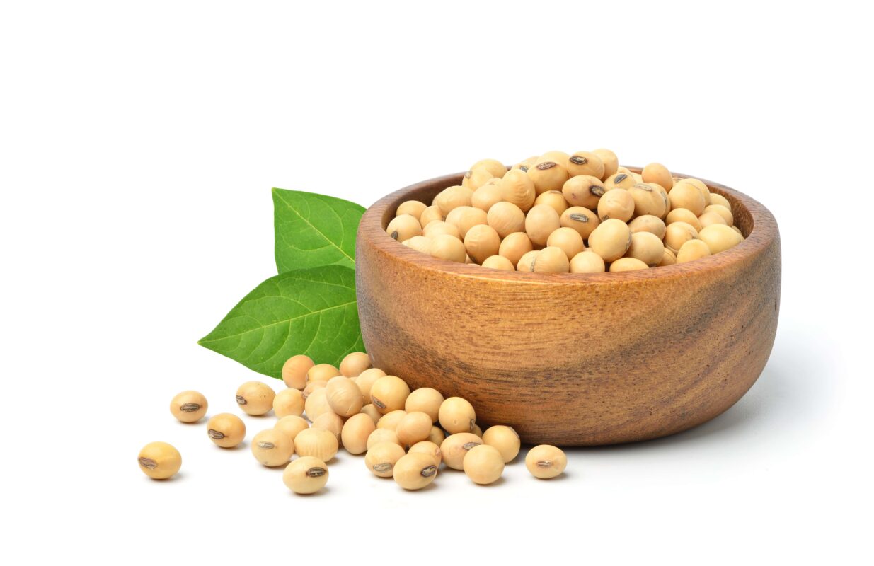 Soya Fasulyesinin Sağlığa Faydaları: Beslenmenize Neden Eklemelisiniz?