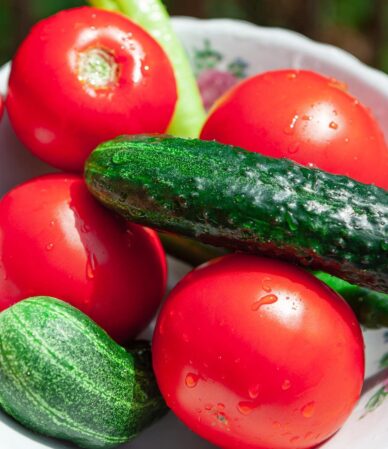 Bilimsel Yöntemlerle Meyve ve Sebzelerinizi Daha Uzun Süre Taze Tutun