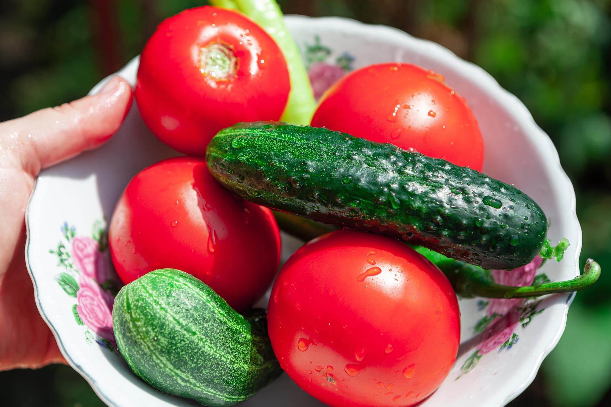 Bilimsel Yöntemlerle Meyve ve Sebzelerinizi Daha Uzun Süre Taze Tutun
