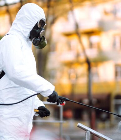 Güvenli Böcek İlaçlama Rehberi