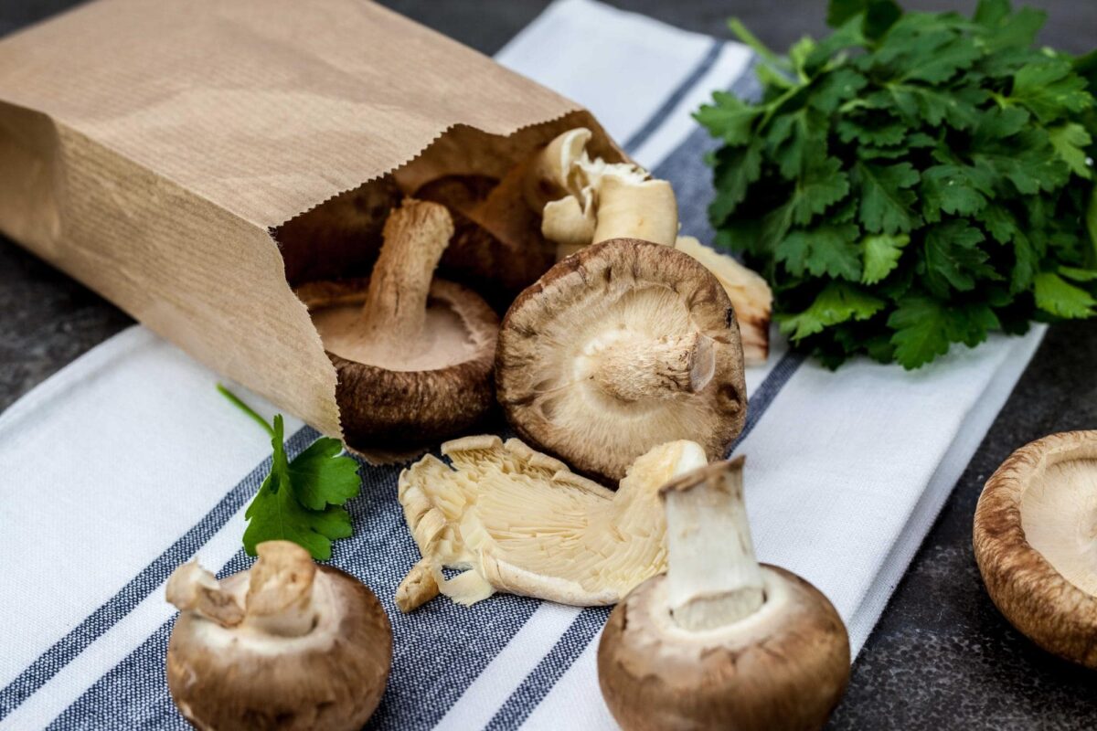 Mantarların Hava Almasına İzin Verin