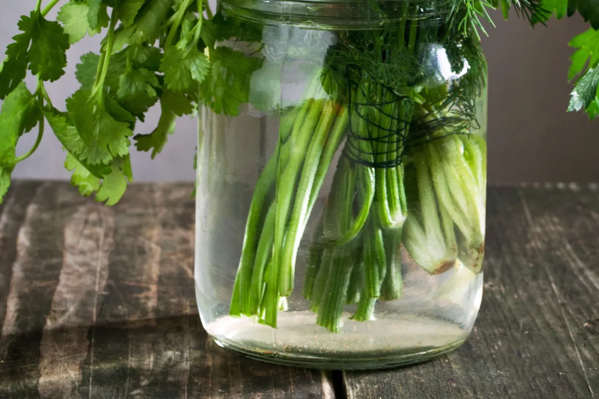 Taze Otları Dikey Saklayın