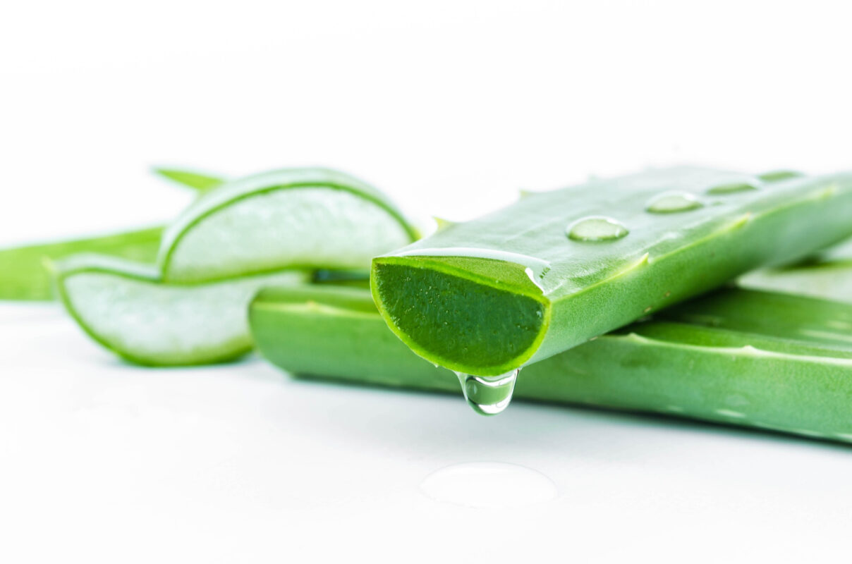 Aloe vera nedir? Faydaları, kullanım alanları, yan etkileri
