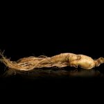 Asya ginsengi faydaları ve yan etkileri: Panax ginseng gerçekten işe yarar mı?