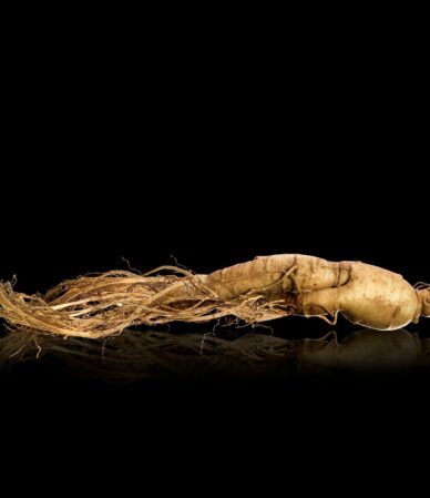 Asya ginsengi faydaları ve yan etkileri: Panax ginseng gerçekten işe yarar mı?