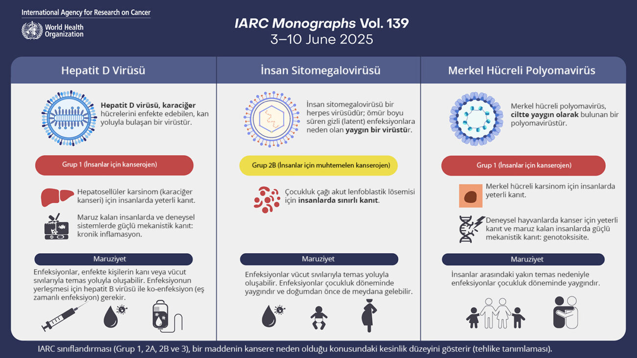 Hepatit D ve Merkel hücre virüsü: kanserle bağlantıları