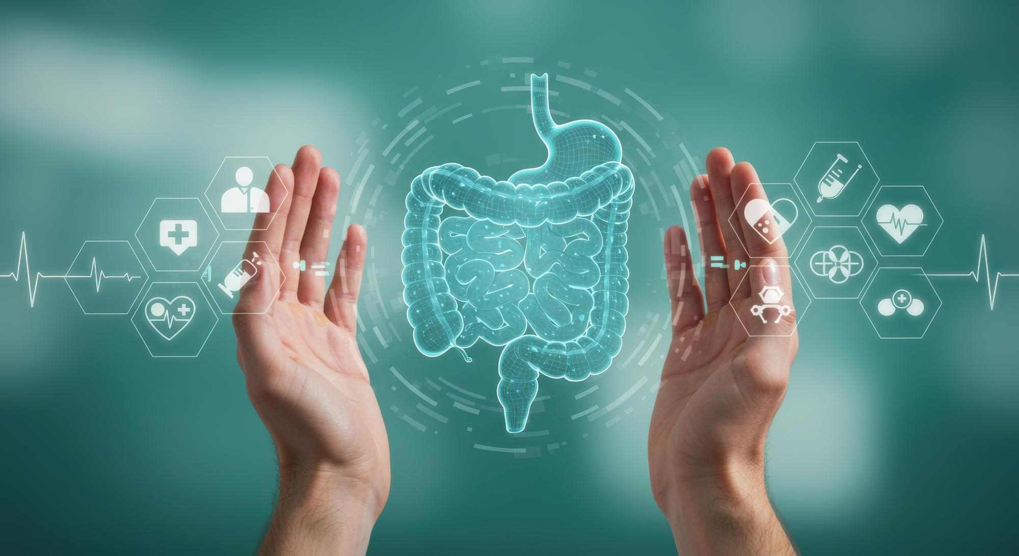 Sindirim sistemi nasıl çalışır? Organlar, görevler ve sağlıklı kalmanın yolları