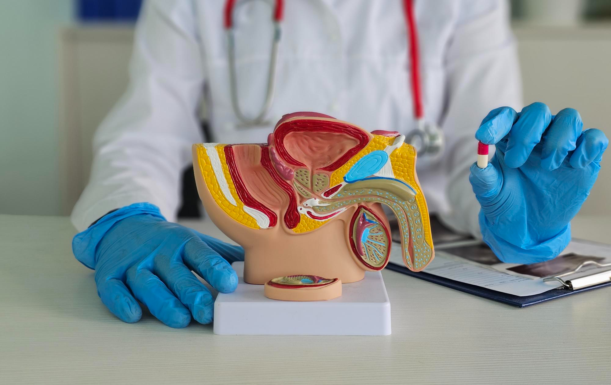 Androloji: Erkek Üreme ve Cinsel Sağlık Rehberi